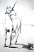 akos_images